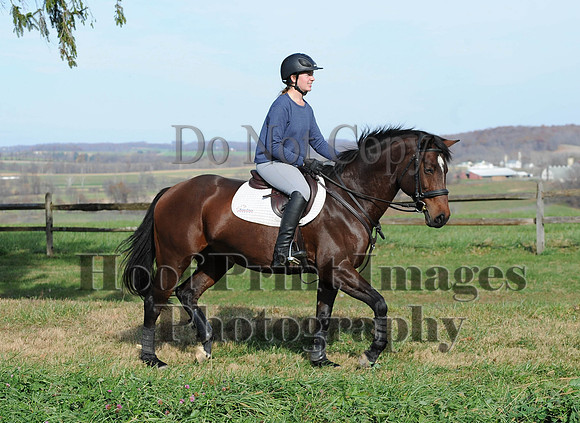AndrewsBr(11-9-14)0509