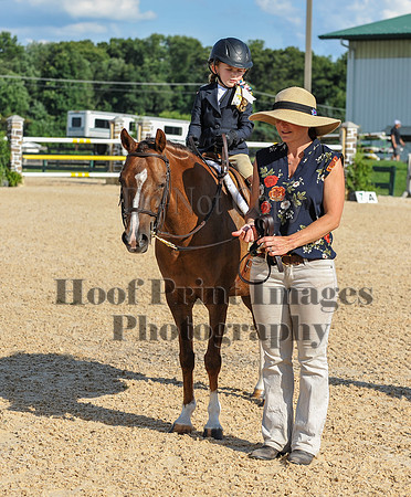 Mason-Dixon2(7-28-18)0241