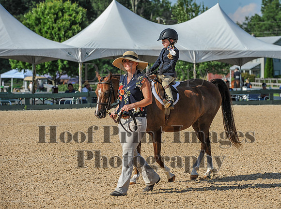 Mason-Dixon2(7-28-18)0236