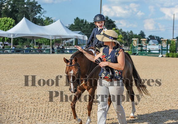 Mason-Dixon2(7-28-18)0246