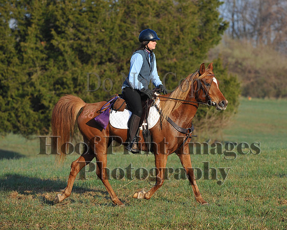 Foxcatcher(4-12-14)0538
