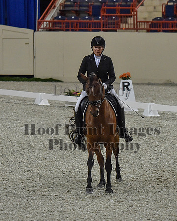 CWdressageII(8-21-16)0159