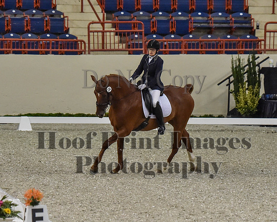 CWdressageII(8-21-16)0255