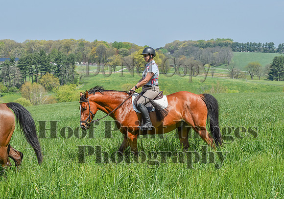 CheshireSpringPC1(4-28-24)0309