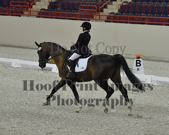CWdressageII(8-21-16)1483
