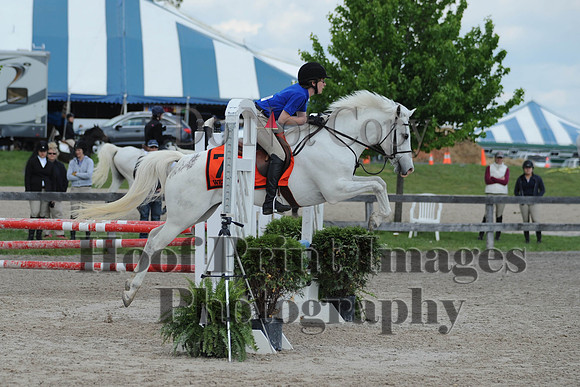 BRSa(5-17-14)0.8mJCl0021