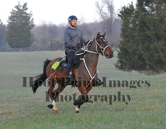 Foxcatcher(4-12-14)0054