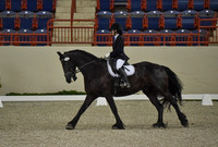 CWdressageI(8-20-16)0051