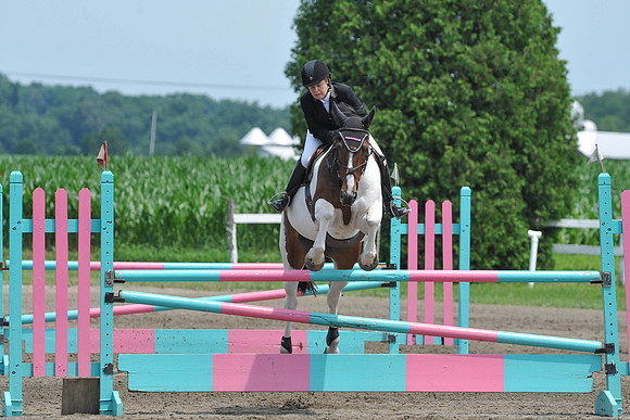 SC(6-29-14)NAL-M&S-WIHSCAJCL0001