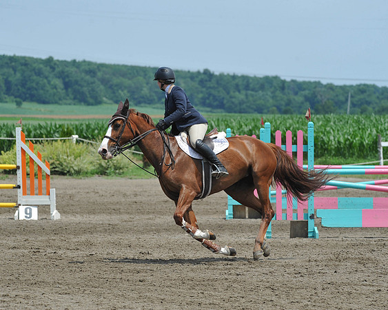 SC(6-29-14)NAL-M&S-WIHSCAJCL0011