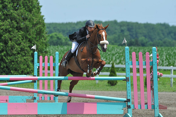 SC(6-29-14)NAL-M&S-WIHSCAJCL0025