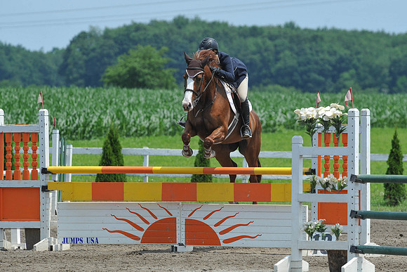 SC(6-29-14)NAL-M&S-WIHSCAJCL0012