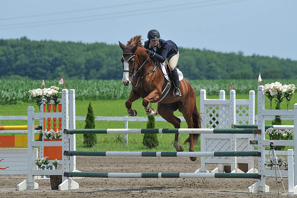 SC(6-29-14)NAL-M&S-WIHSCAJCL0017