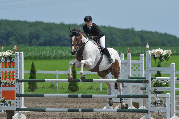 SC(6-29-14)NAL-M&S-WIHSCAJCL0004