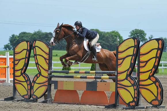 SC(6-29-14)NAL-M&S-WIHSCAJCL0018