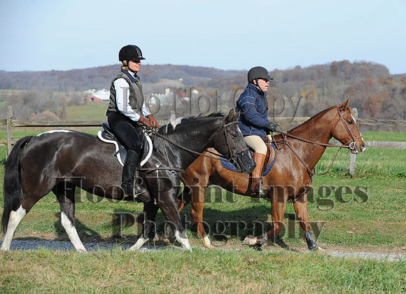 AndrewsBr(11-9-14)0623