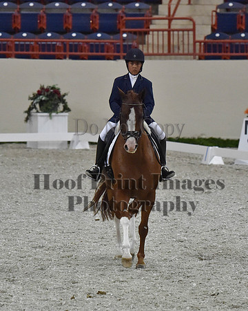 CWdressageII(8-21-16)2009