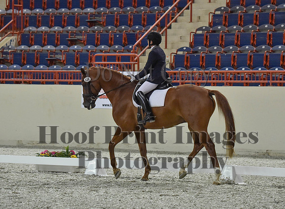CWdressageI(8-20-16)1255