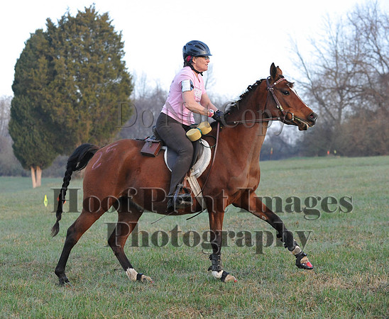 Foxcatcher(4-12-14)0157