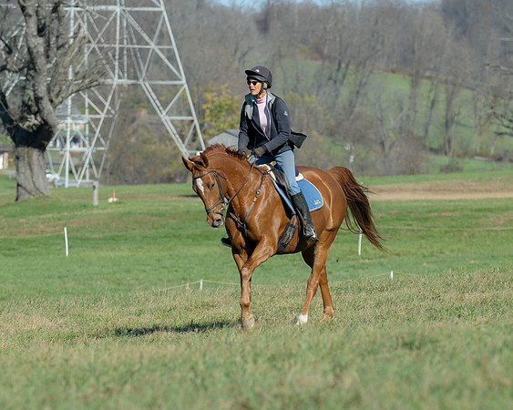 BHPC(11-15-15)0448