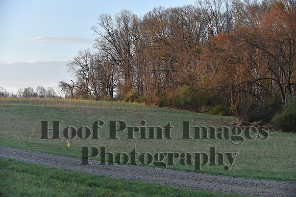 Foxcatcher(4-4-26)0009