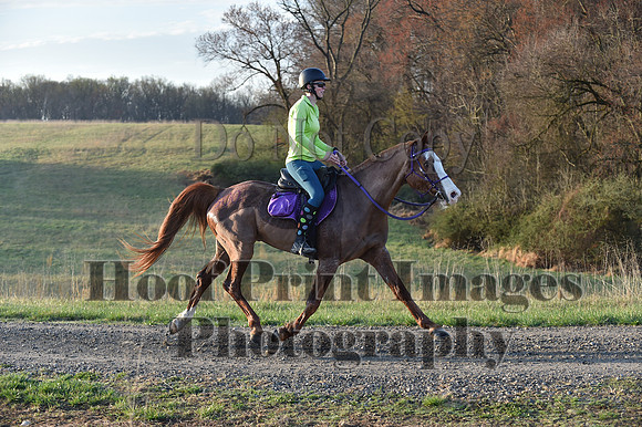 Foxcatcher(4-4-26)0019