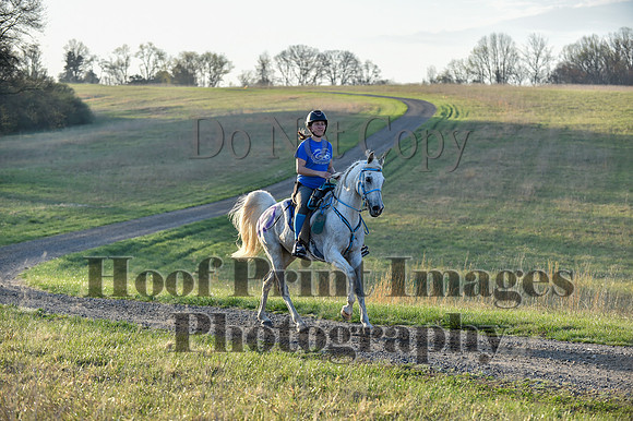 Foxcatcher(4-4-26)0029