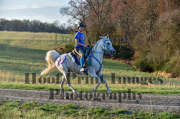 Foxcatcher(4-4-26)0033