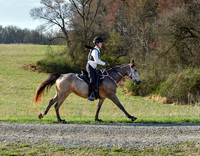 Foxcatcher Endurance Ride (4-4-26)