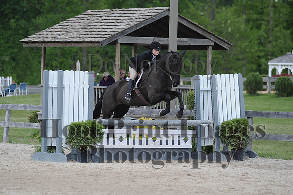 BRSu(5-18-14)ChHtrO0016