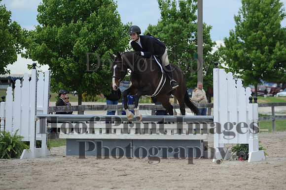 BRSu(5-18-14)ChHtrO0001