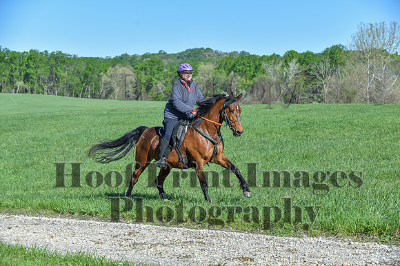 ChesapeakeSpring(4-27-25)0414
