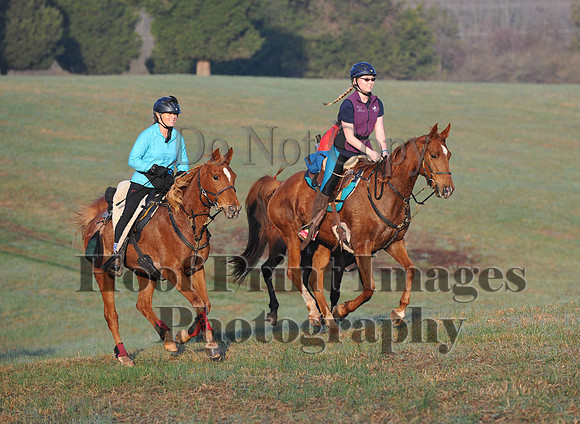 Foxcatcher(4-12-14)0407
