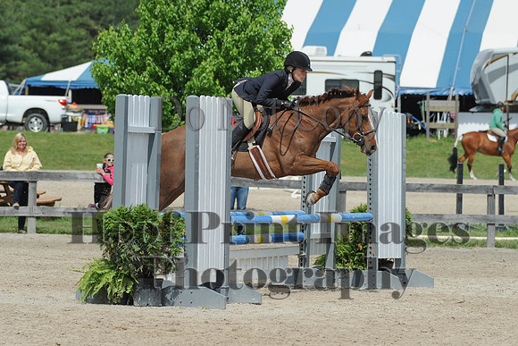 BRSa(5-17-14)0.8mJCl0049