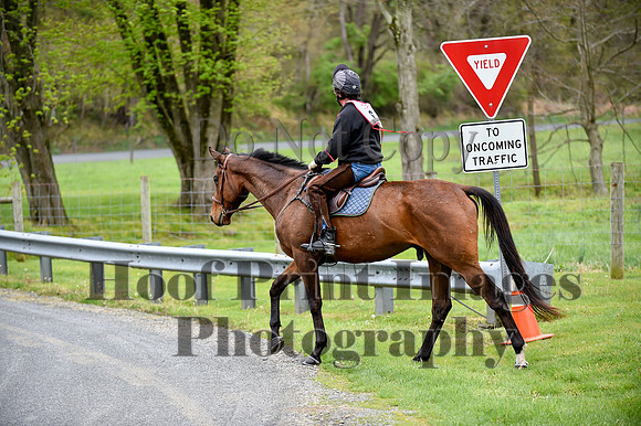 CheshirePC LastCheckpoint(4-26-26)0010