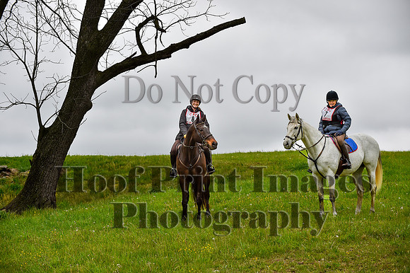 CheshirePC LastCheckpoint(4-26-26)0024