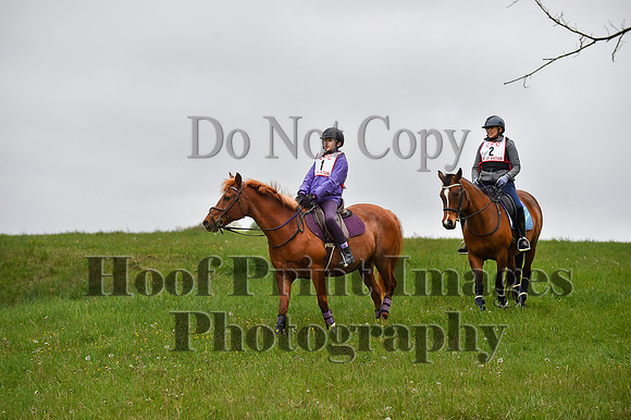 CheshirePC LastCheckpoint(4-26-26)0040