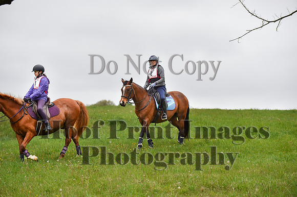 CheshirePC LastCheckpoint(4-26-26)0041