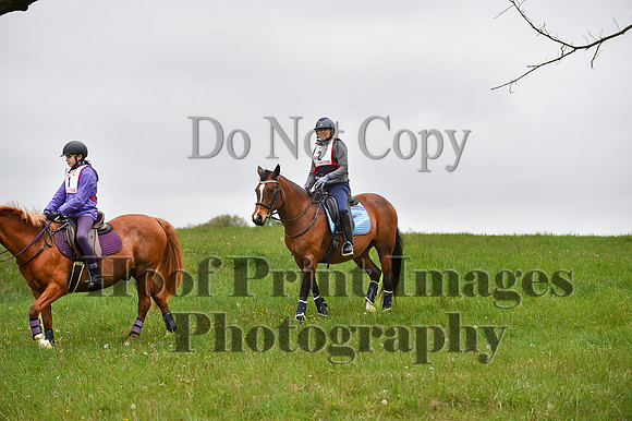 CheshirePC LastCheckpoint(4-26-26)0042