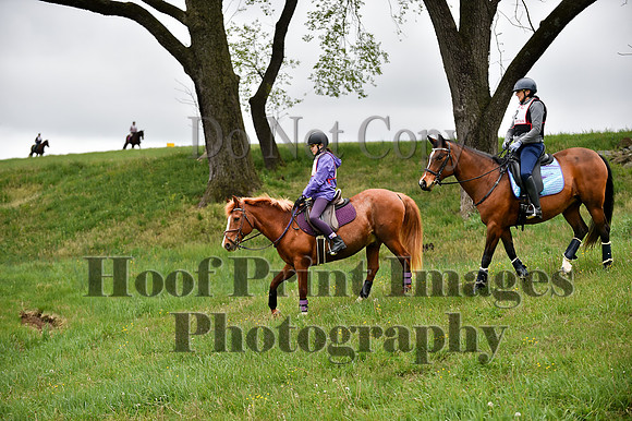 CheshirePC LastCheckpoint(4-26-26)0043