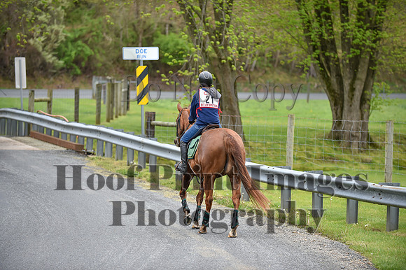 CheshirePC LastCheckpoint(4-26-26)0074