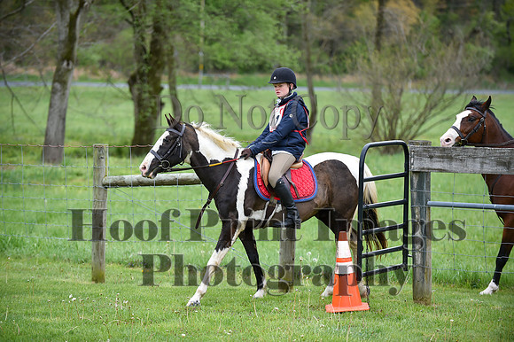 CheshirePC LastCheckpoint(4-26-26)0097