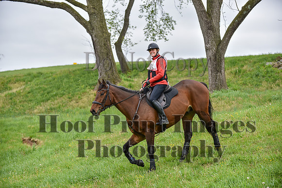 CheshirePC LastCheckpoint(4-26-26)0142