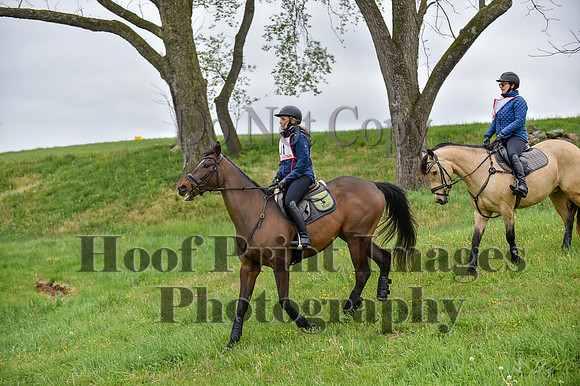 CheshirePC LastCheckpoint(4-26-26)0144