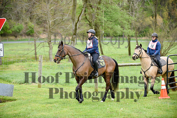 CheshirePC LastCheckpoint(4-26-26)0158
