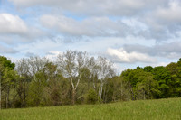 FairHillPC(5-2-26)0005