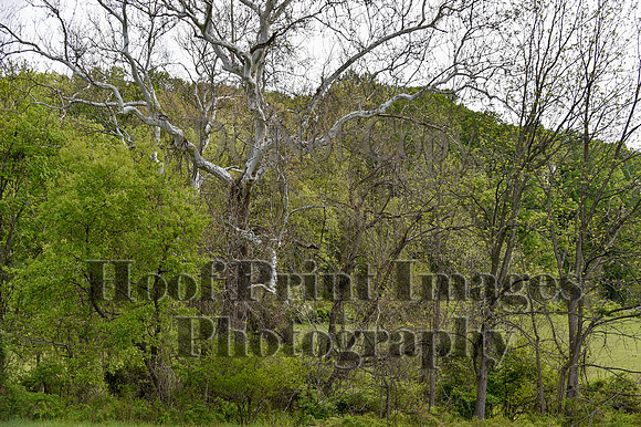 FairHillPC(5-2-26)0001