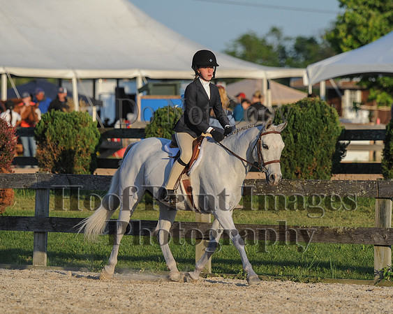 BRSa(5-17-14)SMChP0112