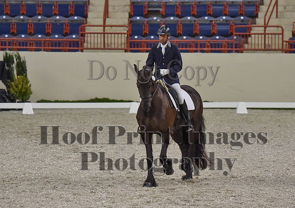 CWdressageI(8-20-16)0293