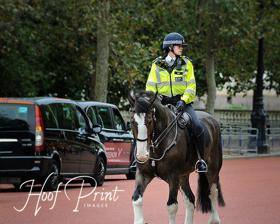 on The Mall going to Buckingham Palace, London
